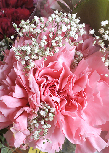 Gallery 8